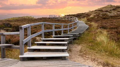 Zomerse hotspots: van luxe natuurlofts in Limburg tot unieke stays in Friesland