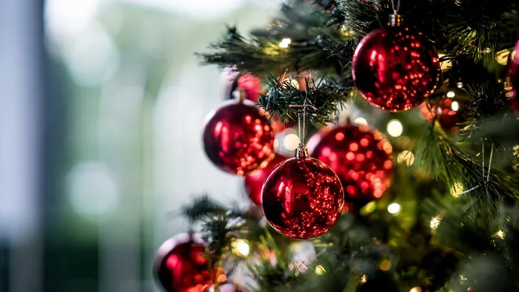Kunst of echt, wat is de duurzaamste kerstboom? 