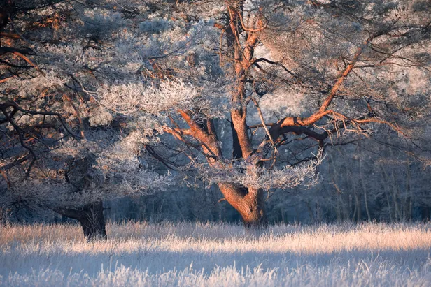 Drenthe