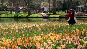 Mensen genieten van de prachtige bloemenvelden de zon in de Keukenhof.