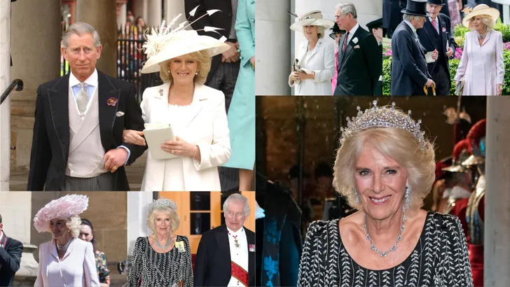 Camilla recycles