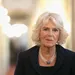 Castingtip: Catherine als Camilla!