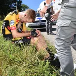 steven kruijswijk