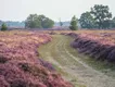 Drentse woorden