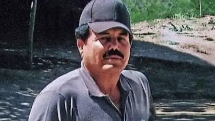El Mayo