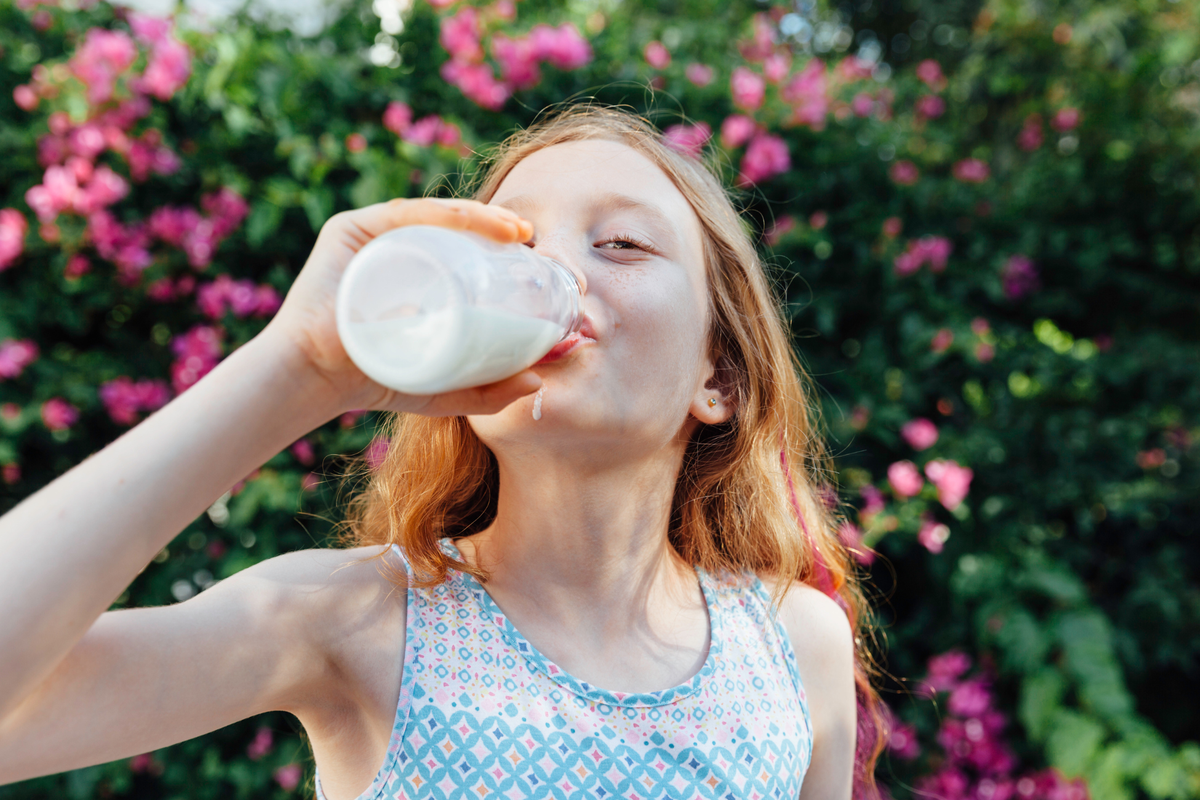 Is de nieuwe Schijf een gevaar voor je botten of een broodnodige correctie?
