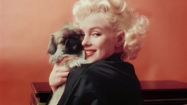 EDUARD PLANTING GALLERY: MARILYN MONROE