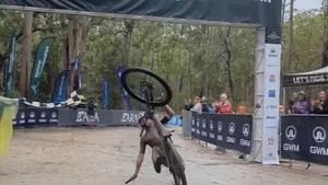 mountainbiker met wheelie onderuit