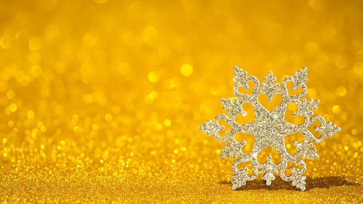 De mooiste kerststerren om te dragen