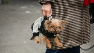 Rattentas tijdens Copenhagen Fashion Week