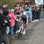 Poel