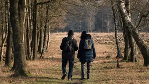 Wandelroute Hondsrug Drenthe