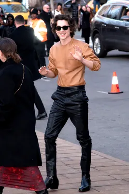 Timothée Chalamet, 2024