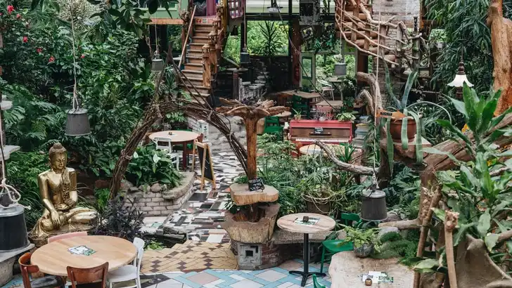 Plantaardig eten op niveau in een jungle te… Enschede!