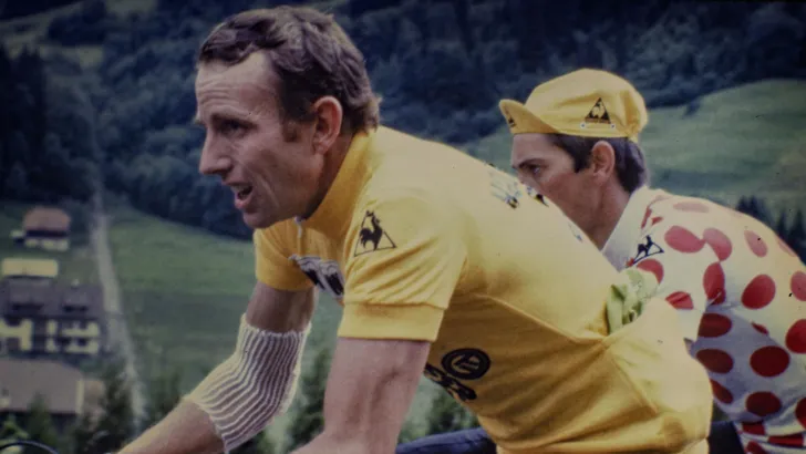 Zoetemelk