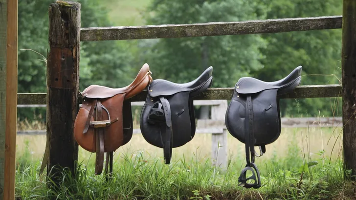 7 brutale vragen over polo