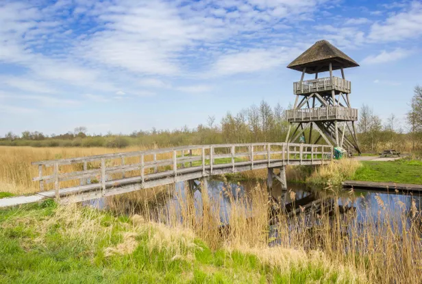 Toren Romsicht in de Jan Durkspolder