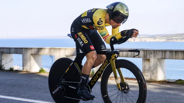 Roglic