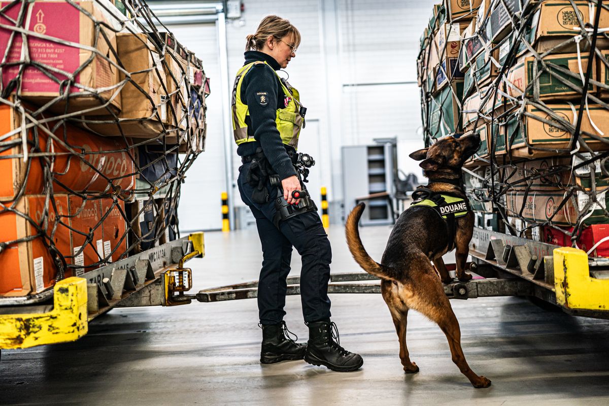 Dieren, zand, lijken; mensen proberen álles langs de douane te loodsen…