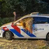 ‘De boeren zijn de laatste wal die het stuurloze schip van de staat zouden kunnen keren’