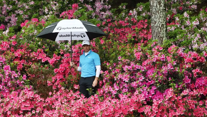 Azalea's