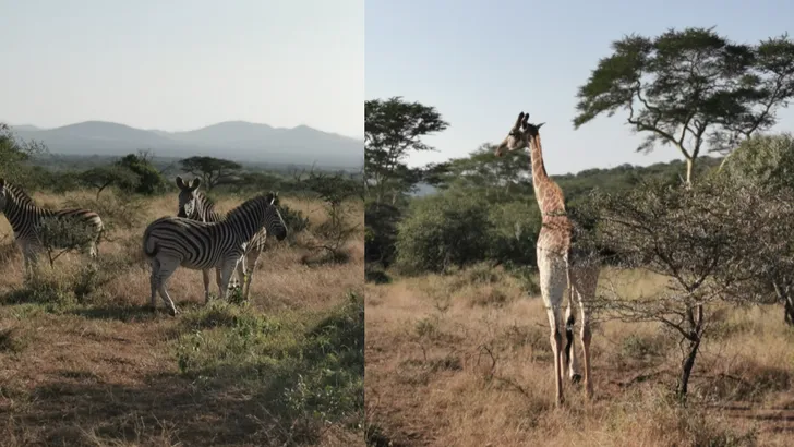 Beau Monde Travels: we gingen op safari in Zuid-Afrika met déze nieuwe smartphone in onze tas