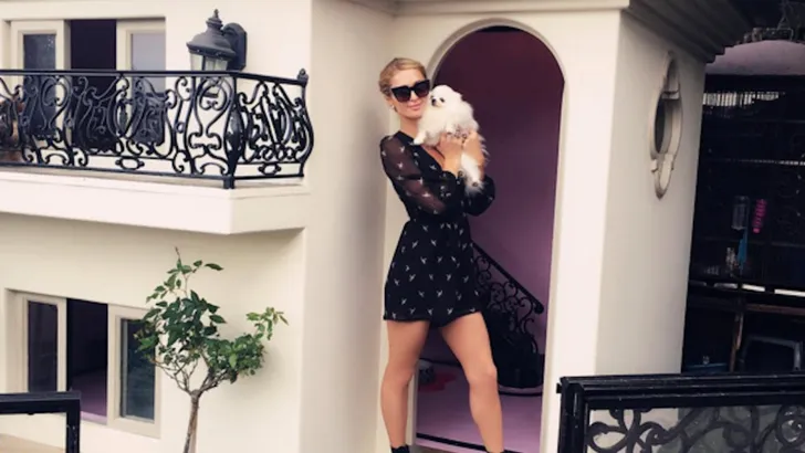 Zien: de peperdure hondenvilla van Paris Hilton