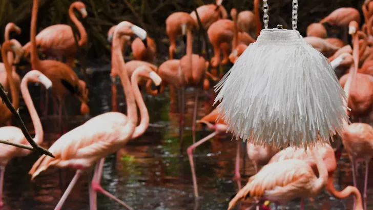 Carolina Santo Domingo: it-accessoires met royal randje