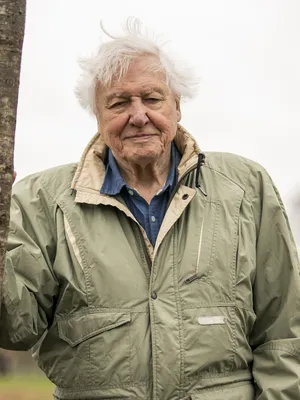 David Attenborough