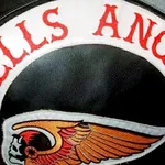 De keiharde terreur van de Haarlemse Hells Angels - 'een beestachtige chapter'