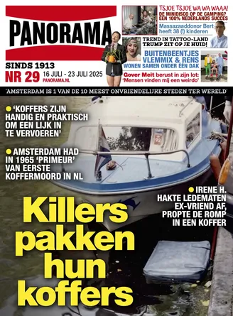 Cover Panorama: 29/2025