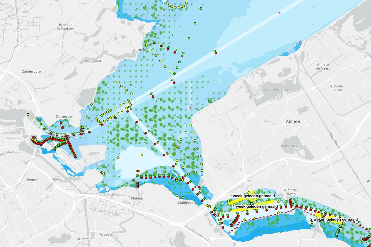 Fonteinkruid: de actuele situatie anno voorjaar 2023 - Zeilen | Zeilen