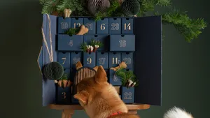 Deze adventskalenders zijn de leukste van 2025.
