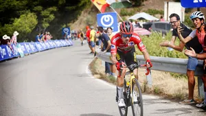 Roglic