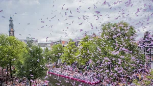 Pulitzer Pride Pink Deck