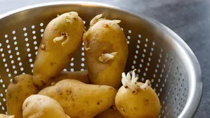 Aardappelen