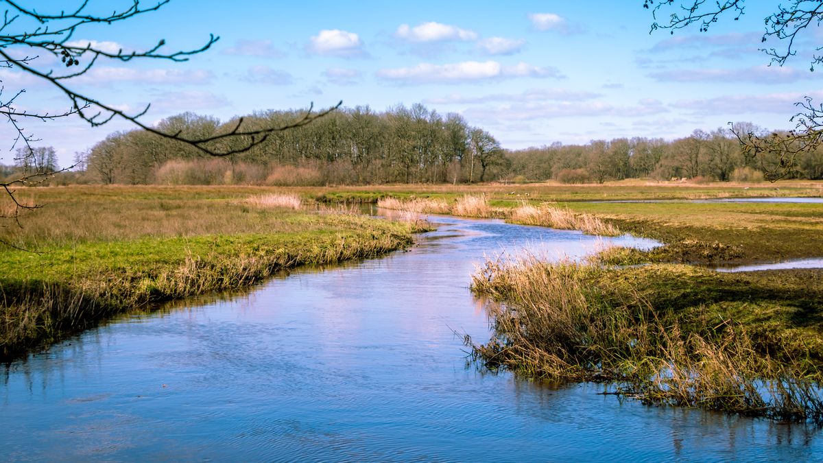 Zaterdag 20 november: Wandelexcursie Deurze