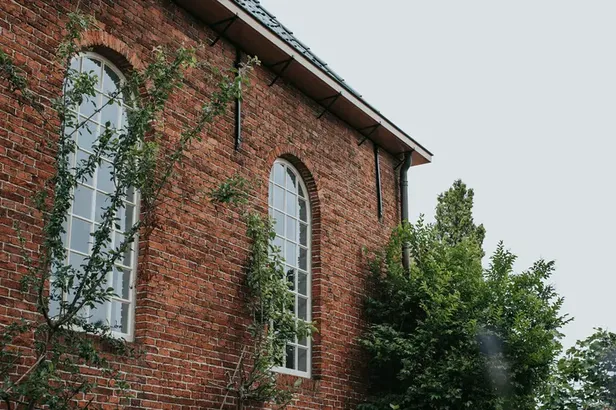 De Vijgenhof in Appingedam