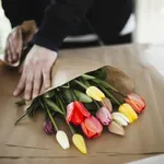 Tulpen: handige tips