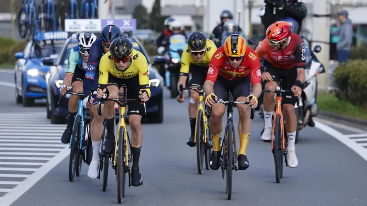 Dwars door Vlaanderen 2024 men
