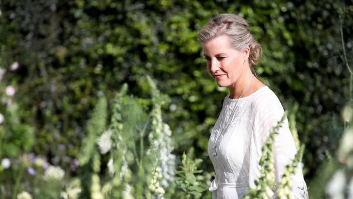 Royal Fashion: de mooiste kanten kleedjes