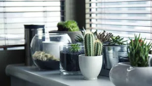 Gezond wonen in huis: hier kun je voor zorgen