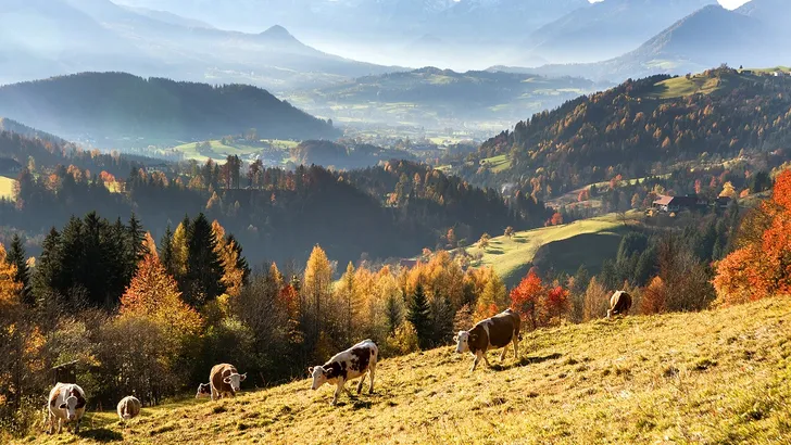 11 unieke overnachtingen in Oberösterreich