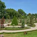 Parijse pracht in bloei: ontdek de rozentuin van Parc de Bagatelle.