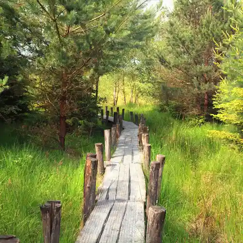 Korte wandelroutes in Drenthe