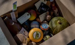 LANT box