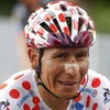 Nairo Quintana post foto van motorritje, maar op de achtergrond rijden honden er ook lustig op los...