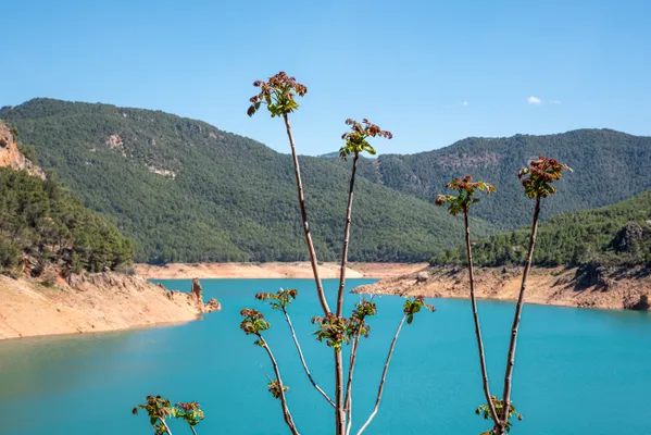 Jaén: de stad die je nooit plant, maar altijd onthoudt.