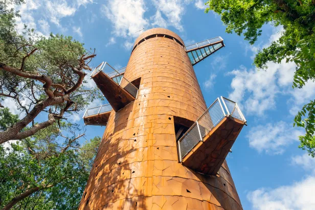 De Bosbergtoren in Appelscha
