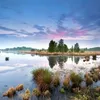 Leuke wandeltip: langs de Drentsche Aa naar Rolde en Assen | Noorderland